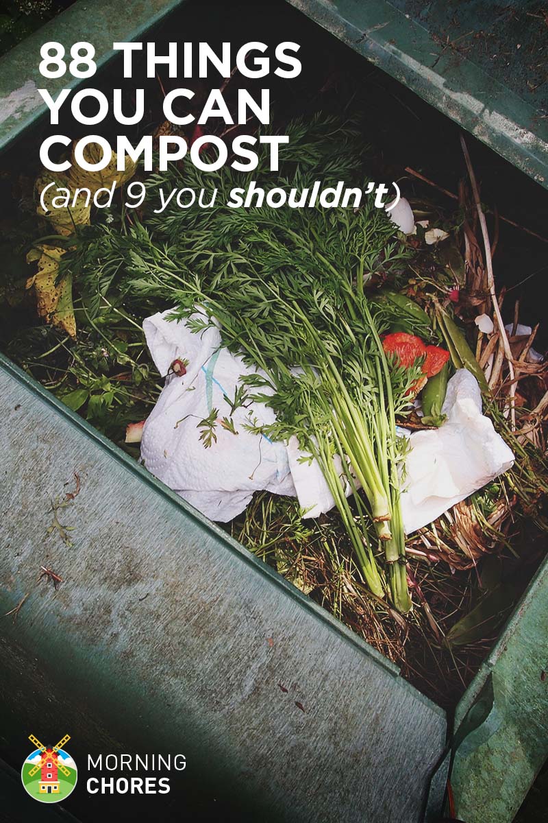 88 Everyday Things You Can Compost (and 9 You Shouldn't)