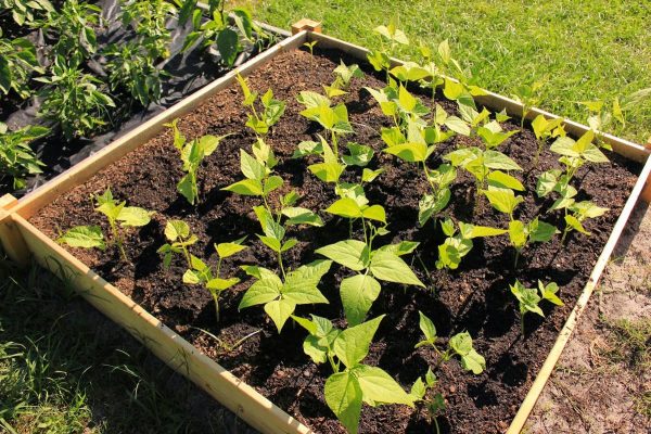 76 Raised Garden Beds Plans Ideas You Can Build In A Day