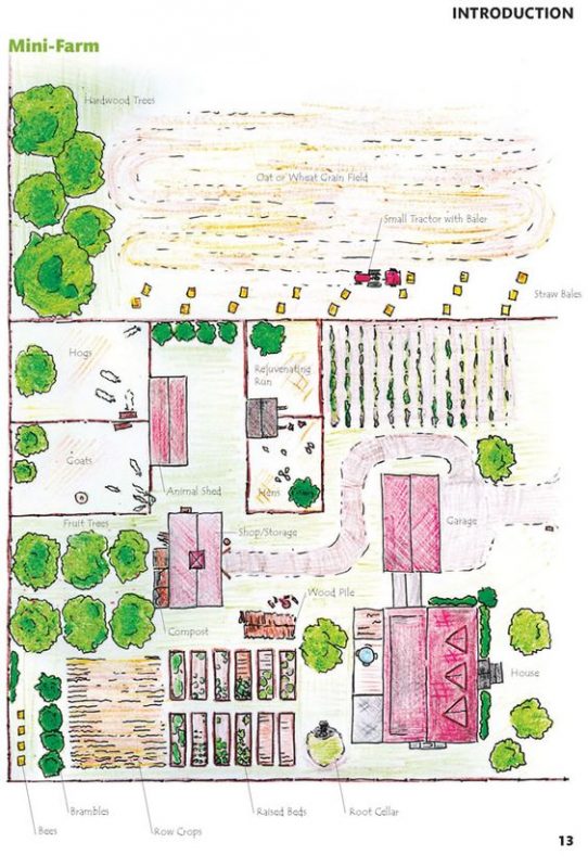 Types Farm Layout 28 Farm Layout Design Ideas to Inspire Your Homestead Dream