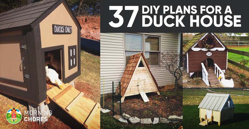37 Free DIY Duck House / Coop Plans &amp; Ideas that You Can ...