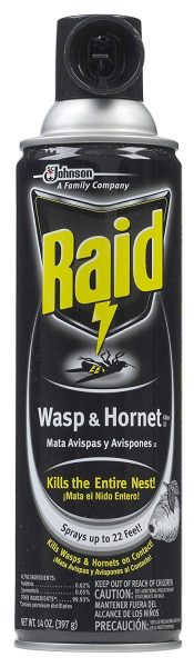 Raid Wasp & Hornet Killer