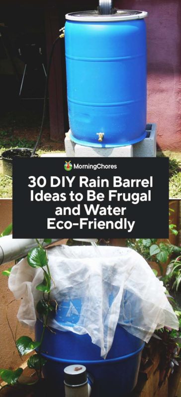 30 DIY Rain Barrel Ideas to Be Frugal and Water Eco Friendly PIN 1