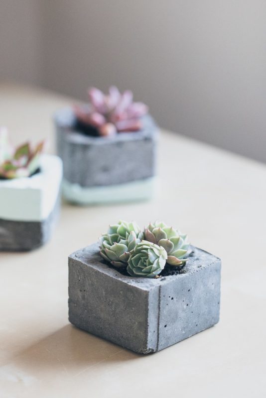 DIY Concrete Succulent Planters 10