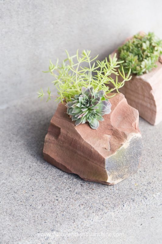 This succulent rock garden is simply stunning