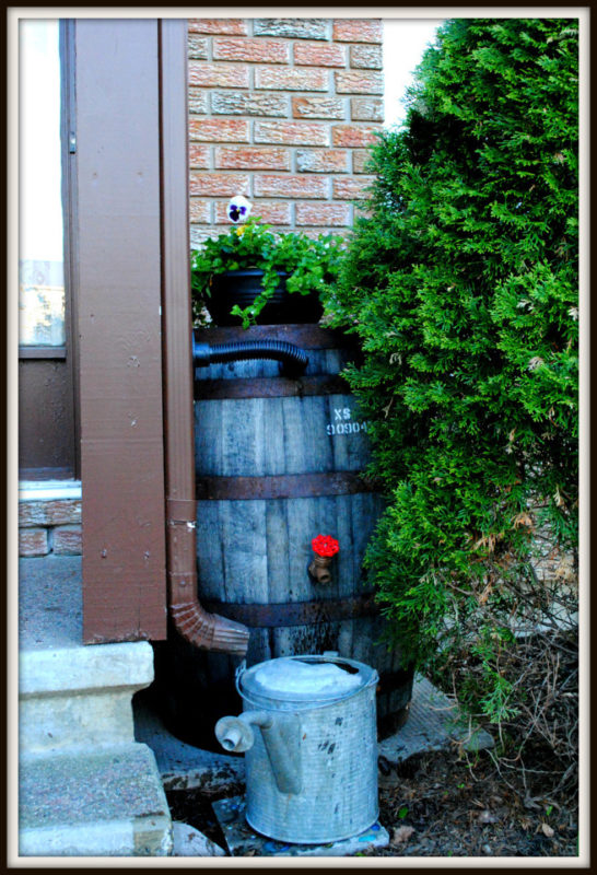 front door rain barrel