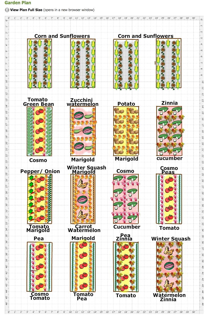 19 Vegetable Garden Plans Layout Ideas That Will Inspire You