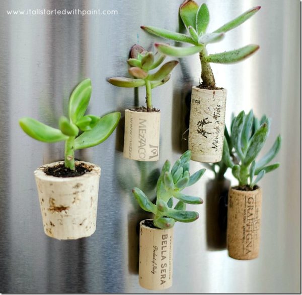 wine cork magnet planters tutorial how to thumb