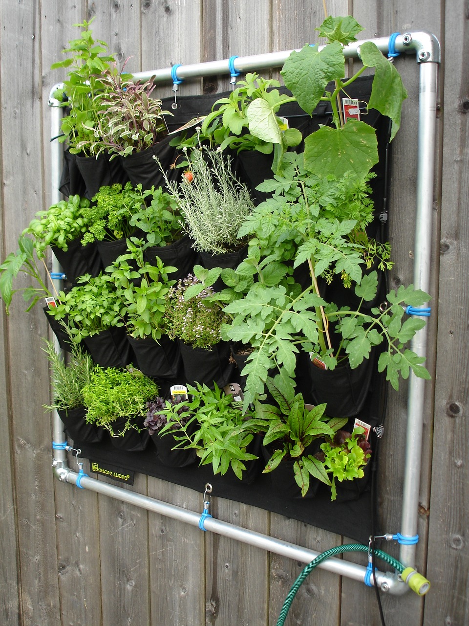 How to Start a DIY Vertical Garden (and 7 Ideas You Should Try)