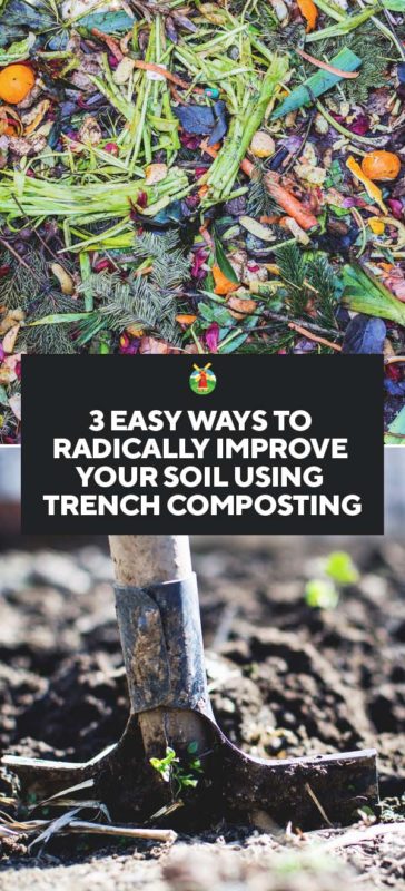 3 Easy Ways to Radically Improve Your Soil Using Trench Composting PIN