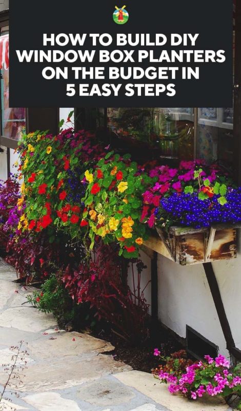 How to Build DIY Window Box Planters on the Budget in 5 Easy Steps PIN