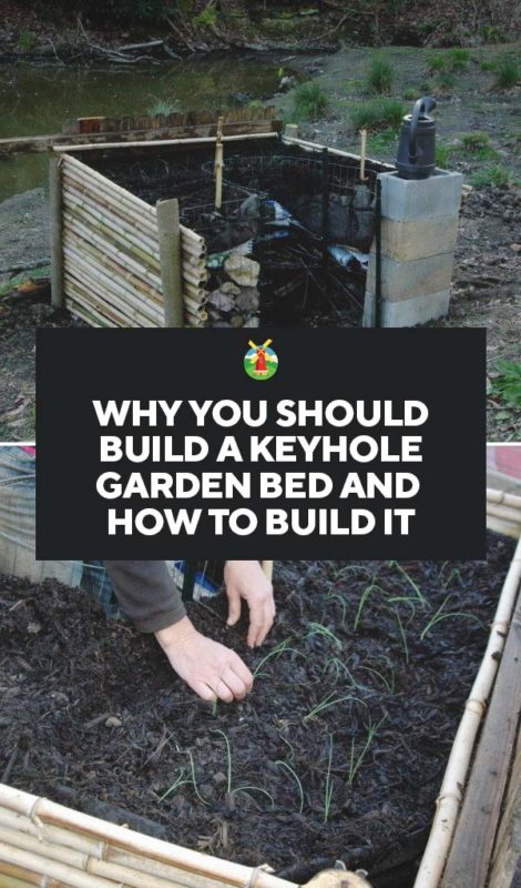 Why You Should Build a Keyhole Garden Bed and How to Build It PIN