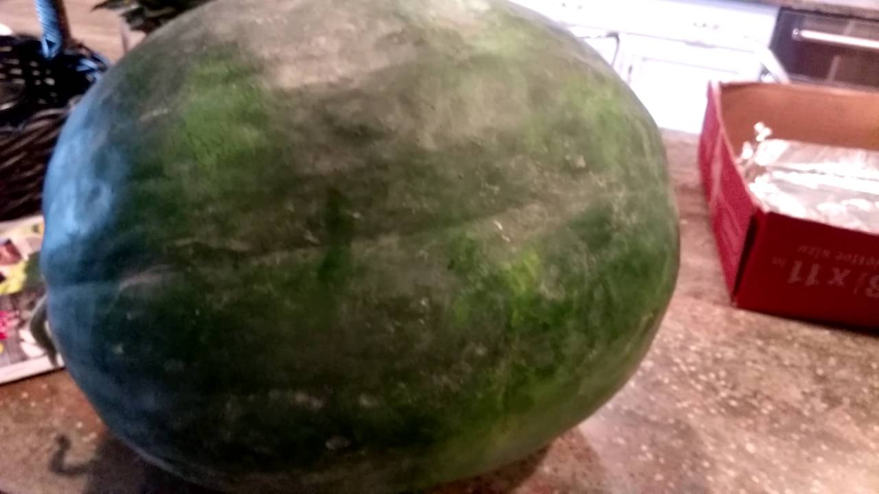 black diamond watermelon