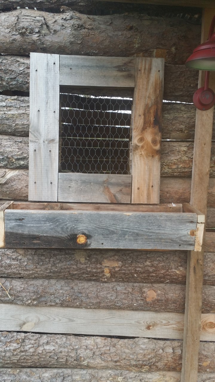 chicken coop window
