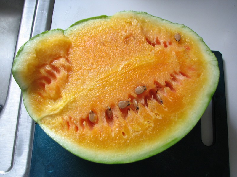desert king watermelon