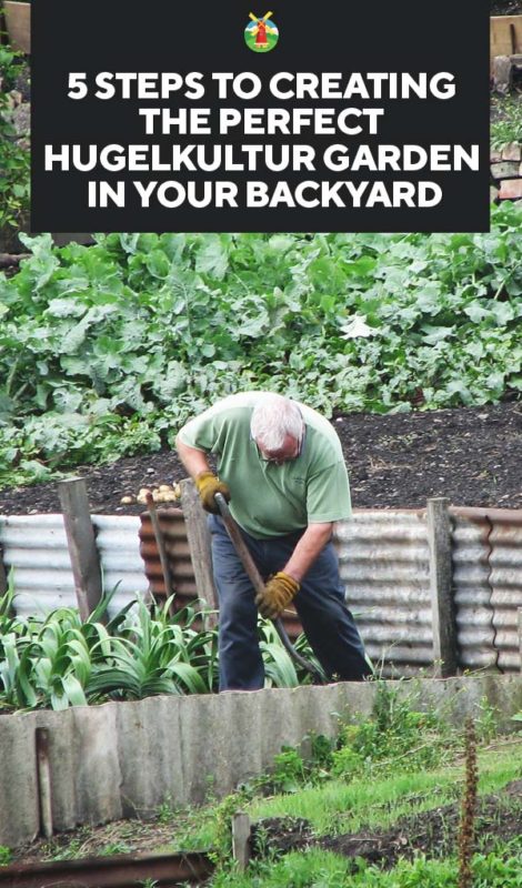 5 Steps to Creating the Perfect Hugelkultur Garden in Your Backyard PIN