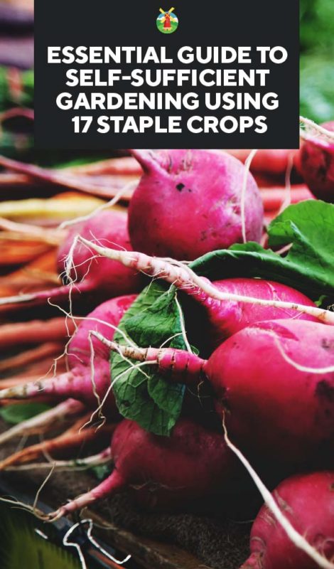 Essential Guide to Self Sufficient Gardening using 17 Staple Crops PIN