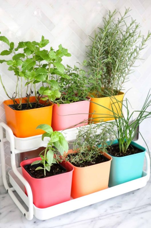 Make a Colorful Indoor Herb Garden click through for tutorial