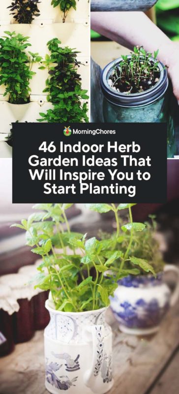 46 Indoor Herb Garden Ideas That Will Inspire You to Start Planting PIN