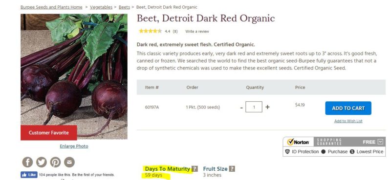 Days to Maturity Beets
