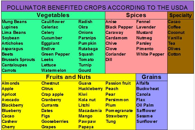 Pollinator Benefited Crops Table
