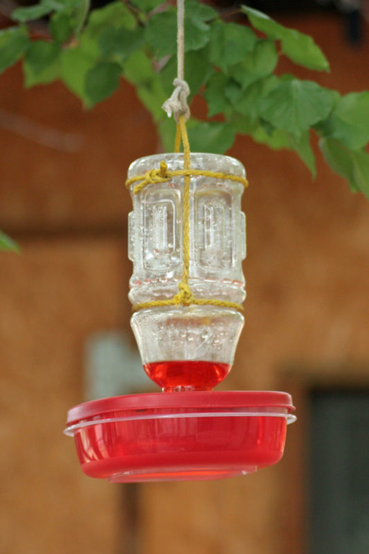 hanging hummingbird feeder