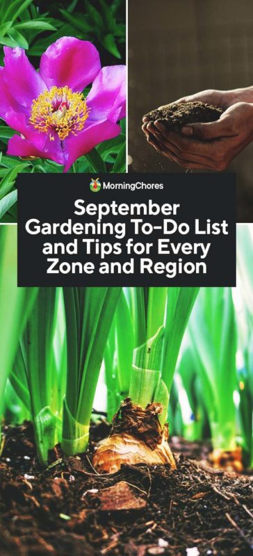 September Gardening To Do List and Tips for Every Zone and Region PIN