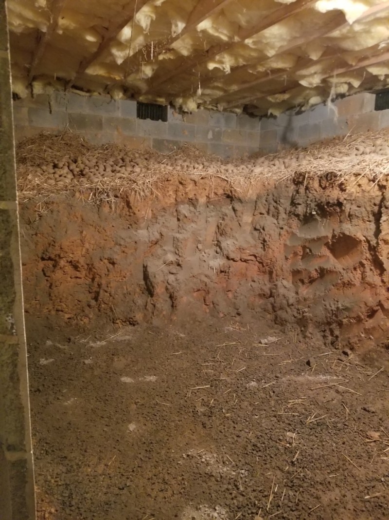 adding concrete to the walls of the root cellar