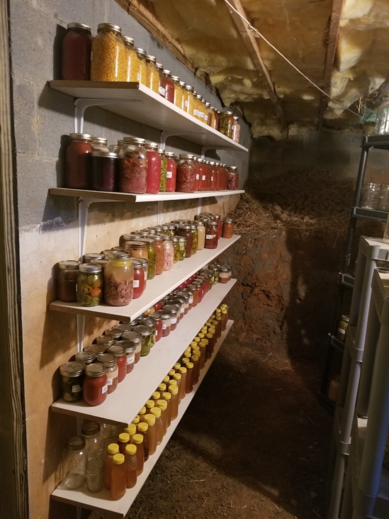 root cellar shelves