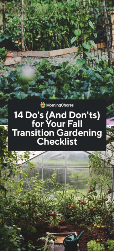 14 Dos And Donts for Your Fall Transition Gardening Checklist PIN