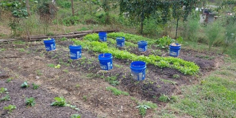 garden hacks for homesteaders