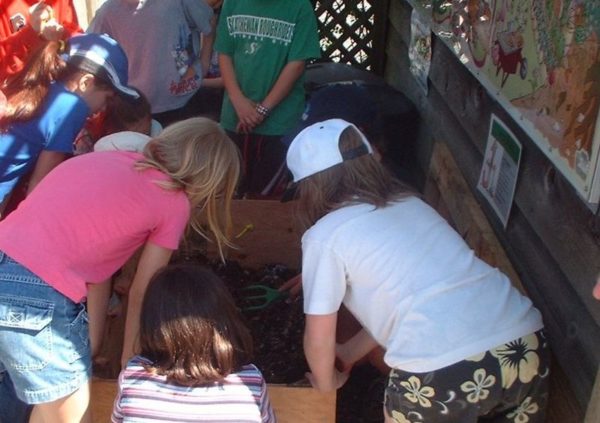 Students leaning over a vermicomposting bin