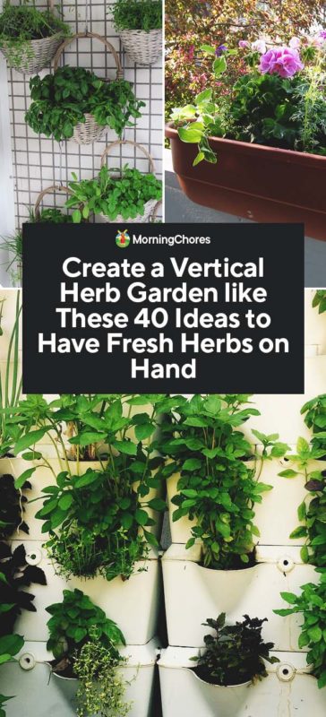 Create a Vertical Herb Garden like These 40 Ideas to Have Fresh Herbs on Hand PIN