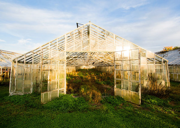 The frame of an old greenhouse with broken glass panes