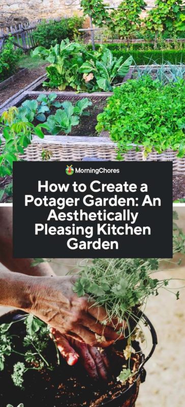 How to Create a Potager Garden An Aesthetically Pleasing Kitchen Garden PIN