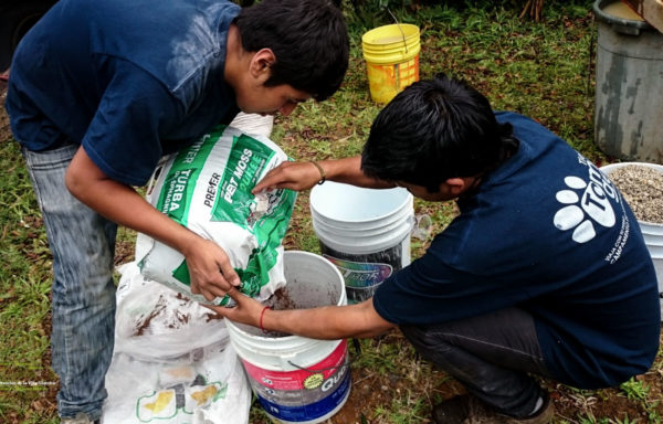 Men putting peat moss into a garden soil mix in a bucket