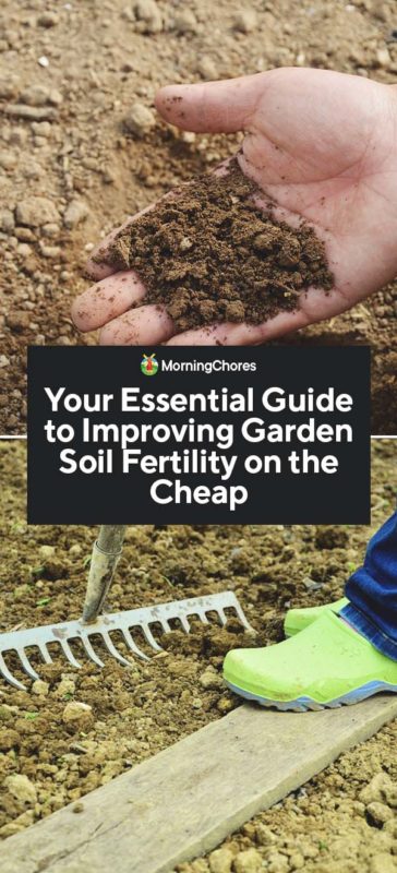 Your Essential Guide to Improving Garden Soil Fertility on the Cheap PIN