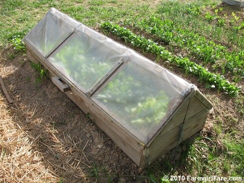 An Amish-style cold frame in a garden