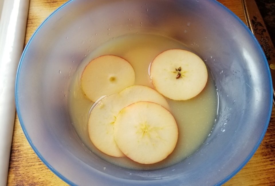apples in lemon juice e1542484131174