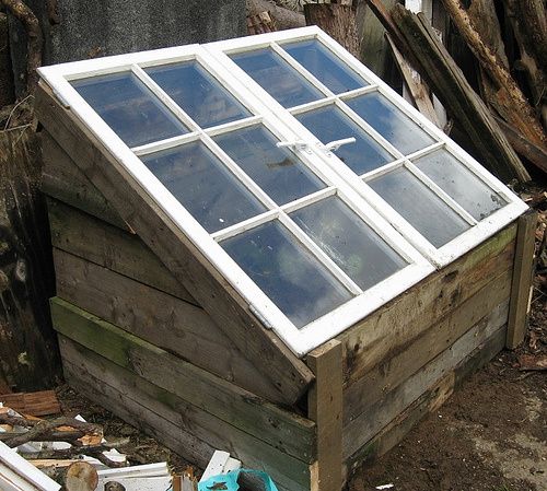 A cold frame made out of pallet wood with windows for a roof