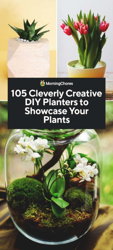 105 Cleverly Creative DIY Planters to Showcase Your Plants PIN