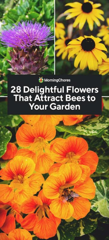 28 Delightful Flowers That Attract Bees to Your Garden PIN