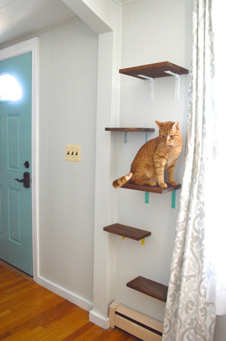 Cat shelves 12