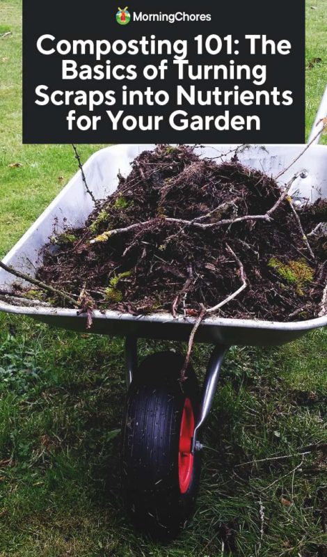 Composting 101 The Basics of Turning Scraps into Nutrients for Your Garden PIN