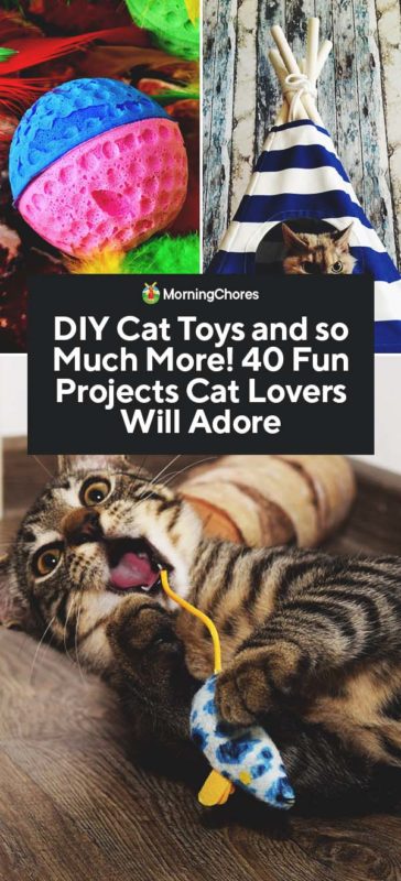 DIY Cat Toys and so Much More 40 Fun Projects Cat Lovers Will Adore PIN
