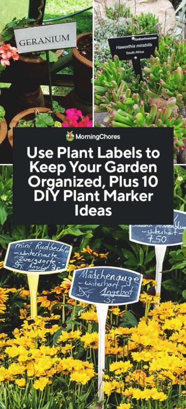 Use Plant Labels to Keep Your Garden Organized Plus 10 DIY Plant Marker Ideas PIN