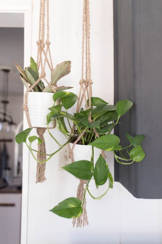 Simple DIY Plant Hangers 4 682x1024