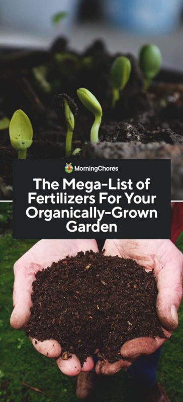 The Mega List of Fertilizers For Your Organically Grown Garden PIN