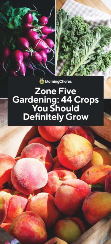 Zone Five Gardening 44 Crops You Should Definitely Grow PIN