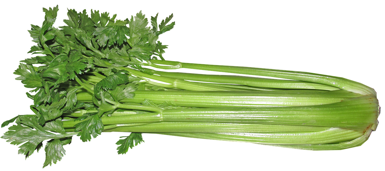 celery 1549202409