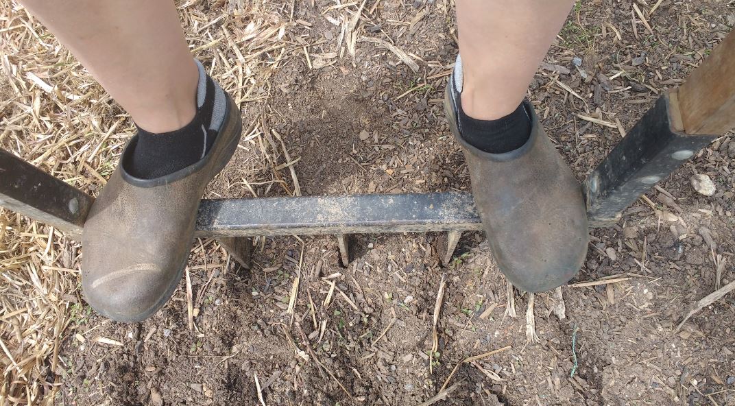 How to Use a Broadfork to Promote Good Drainage in Your Garden